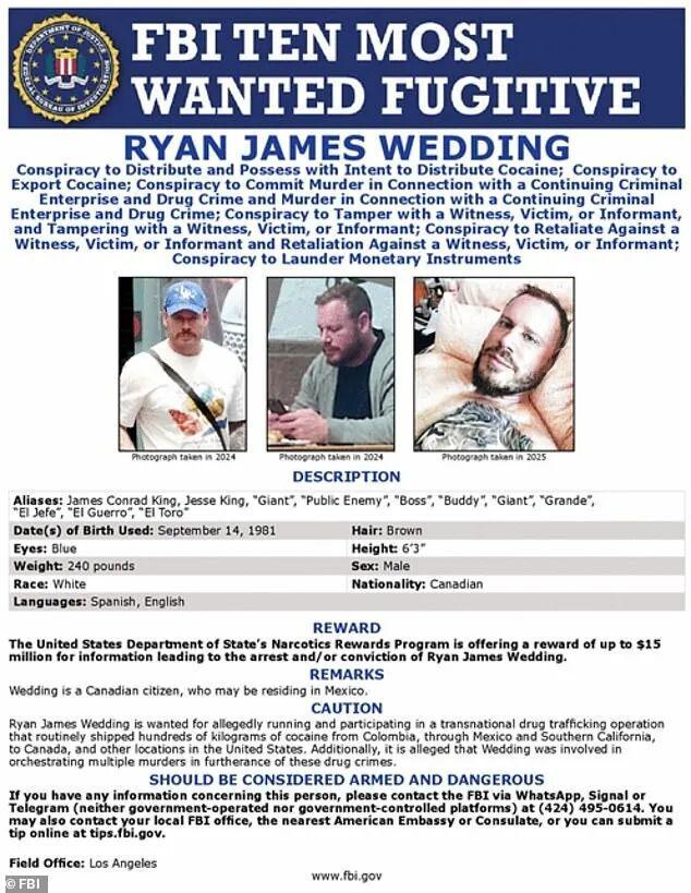 开云app官网下载评价-川普放话“不自首就斩首”！加拿大毒枭被墨西哥贩毒集团抛弃，向美国大使馆自首